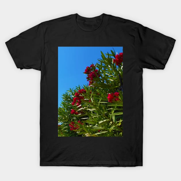 Red Mediterranean Flowers T-Shirt by Kate-P-